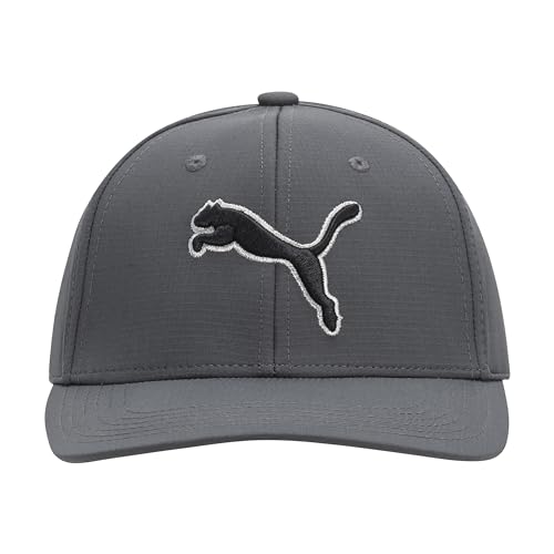 PUMA Unisex-Erwachsene Evercat Dillon Stretch Fit Cap Baseballkappe, dunkelgrau, L/XL von PUMA