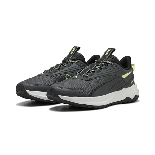 PUMA Unisex Extend Lite Trail Straßen-Laufschuh, Strahlendes Licht Dunkelgrau, 42 EU von PUMA