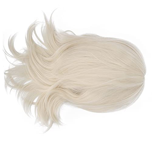 PUNELE Frauen Gefälschte Haarperücken, Flauschig und Perücken für Party -Cosplay, mit Elastischer Band, Leicht zu Tragen und Komfortabel, für das Tägliche Leben Geeignet von PUNELE