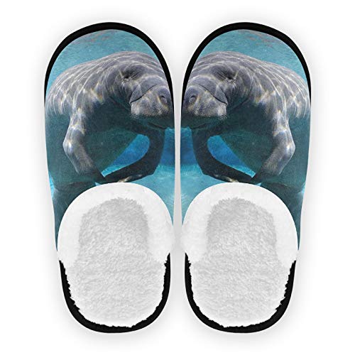 PUXUQU Hausschuhe für Frauen Süß Meer Tier Seekuh Hausschuhe Schlafzimmerschuhe Hausschuhe für Frauen Männer Kinder Kinder für den Innenbereich von CMMT