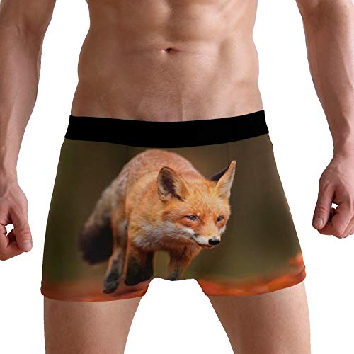 PUXUQU Herren Boxershorts Süß Rot Fuchs Unterhosen Männer Herrenunterwäsche Unterwäsche von PUXUQU