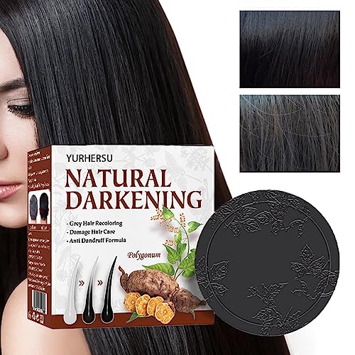 Shampoo-Riegel für graues Haar - Heshouwu und verdunkelnde Seife für graues Haar für Männer,Shampoo für graues Haar, komprimiertes Haarverdunkelungs-Shampoo, Mane Grey Reverse Bar, Pw tools von PW TOOLS