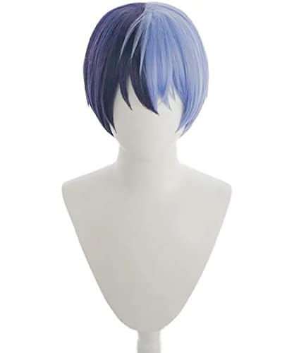 PWEINCY Blau Lila Aoyagi Touya Cosplay Perücke Damen Halloween Party Haar von PWEINCY