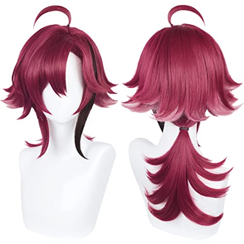 PWEINCY Dunkellila Shikanoin Heizou Cosplay Perücke Genshin Damen Halloween Party Haar von PWEINCY