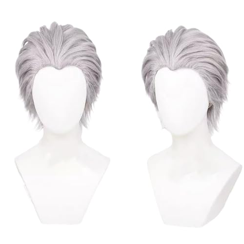 PWEINCY Grau Cosplay Perücke DMC Kurzes glattes Synthetikhaar Männer Halloween Party von PWEINCY