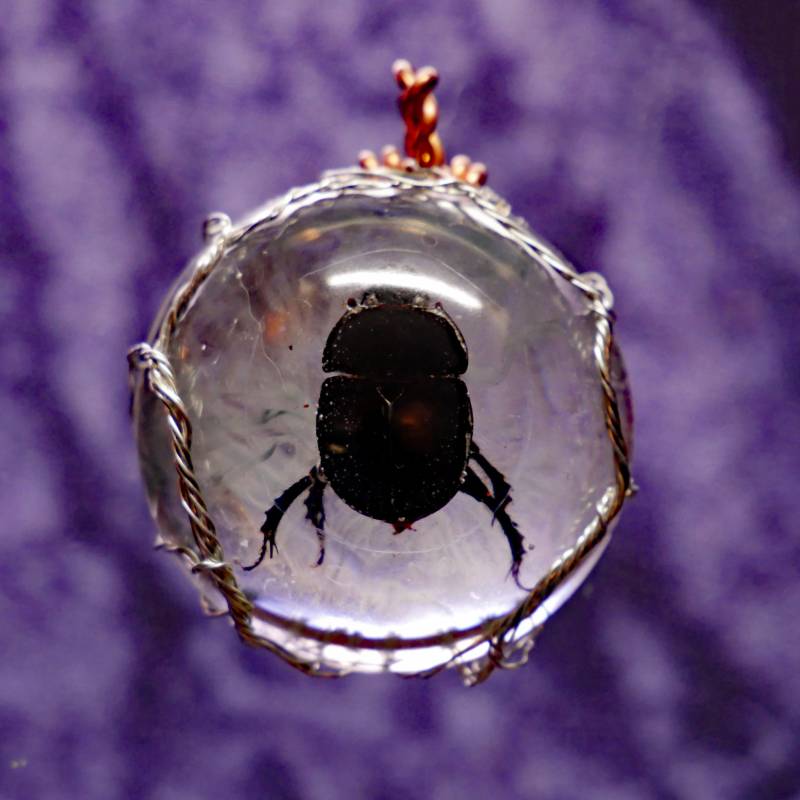 Anhänger Mit Käfer in Epoxidharz von PaRayKunsthandwerk