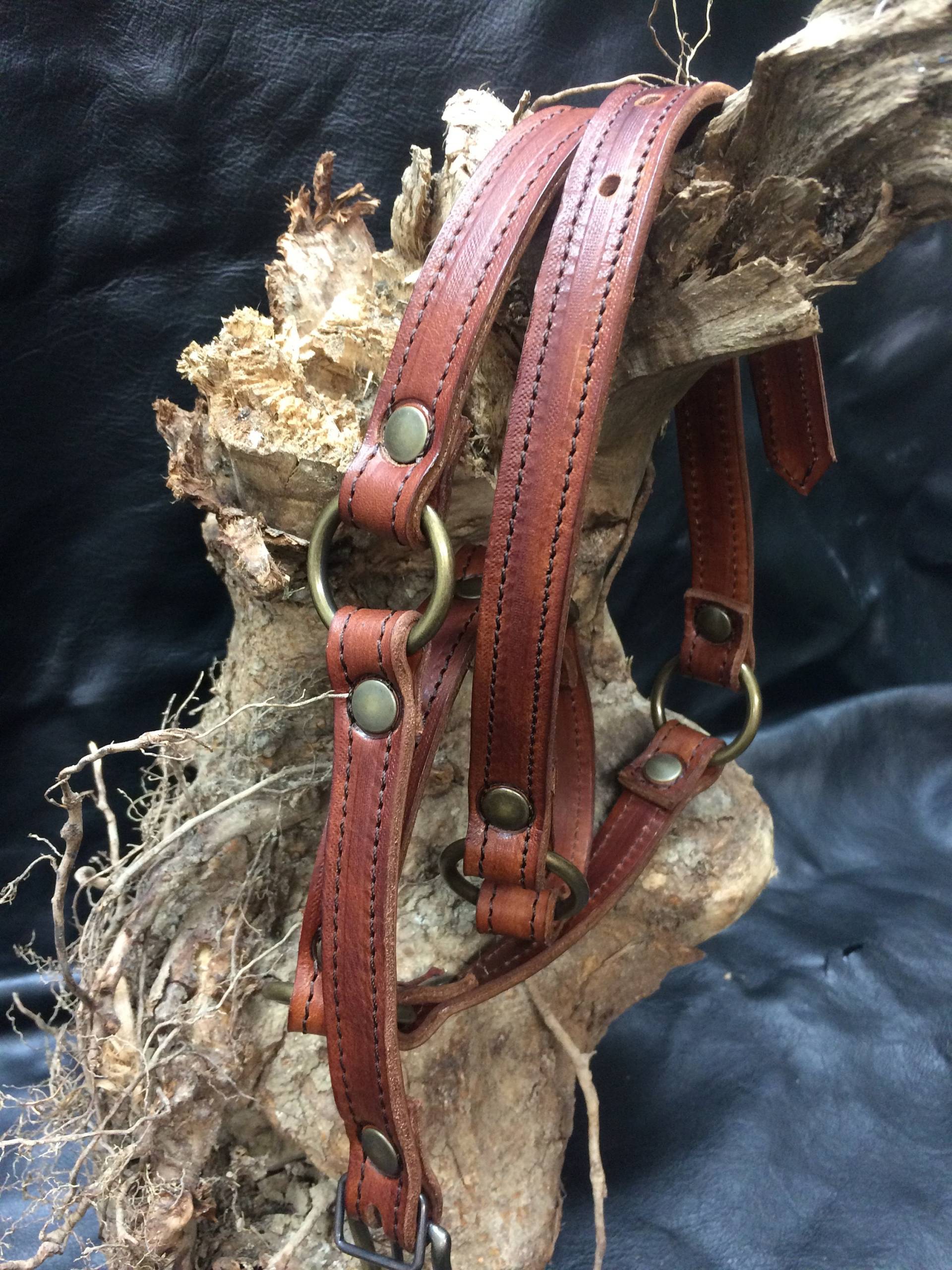 Damen-Gürtel Aus Echtem Leder Mit Verchromten Messing - Und Altmessingringen, Modell Sally 002 Vaneon Made in Italy von PachProduction