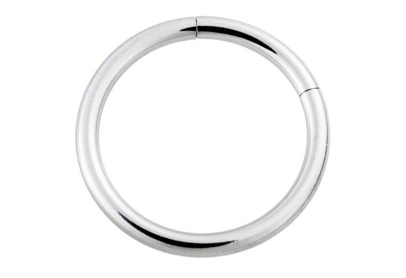 Paletti Single-Creole Segment Ring Scharnier Klicker Piercing silberfarben Tragus Helix, Chirurgenstahl von Paletti