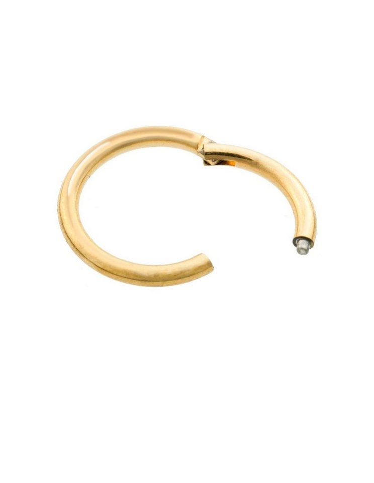 Paletti Single-Ohrstecker Segmentring Clicker Chirurgiestahl, Vergoldet von Paletti