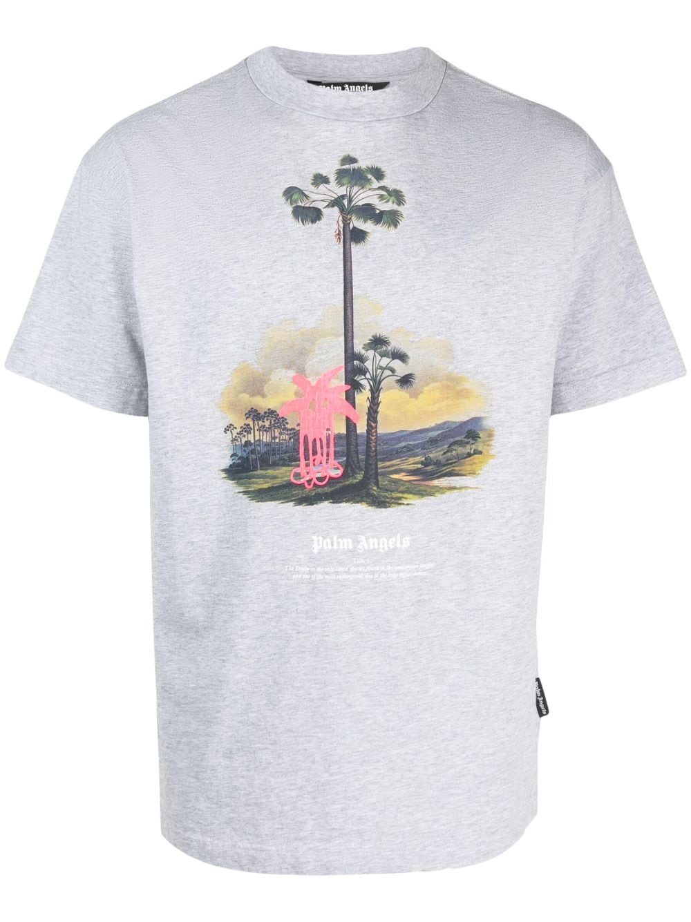 Palm Angels T-Shirt mit grafischem Print - Grau von Palm Angels