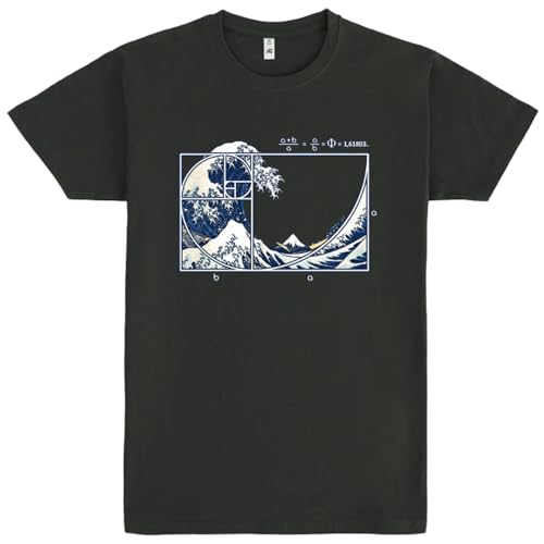 Pampling T-Shirt mit kurzen Ärmeln, aus 100% Baumwolle, Bekleidung für Damen und Herren mit originellen Motiven in 5 Größen, T-Shirt Grau (The Great Fibonacci Wave, XXL) von Pampling