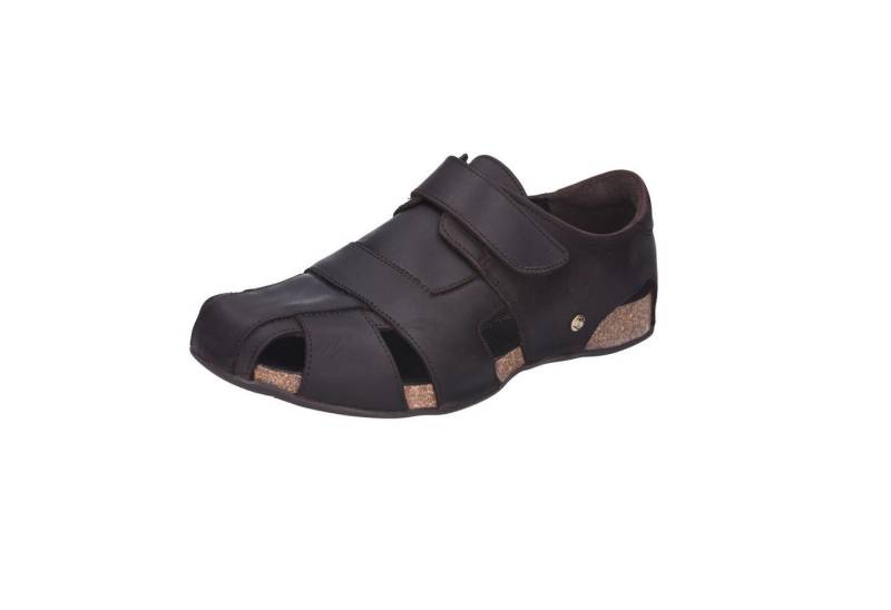 Panama Jack Fletcher Basic Klettschuh von Panama Jack