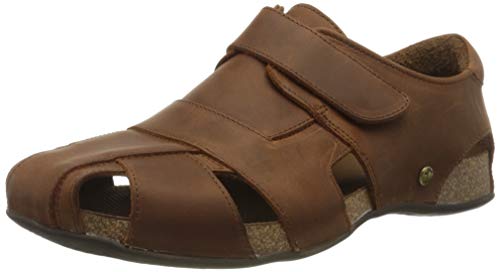 Panama Jack Herren Fletcher Basics Geschlossene Sandalen, Braun (Cuero C5), 42 EU von Panama Jack