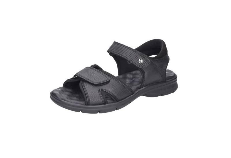 Panama Jack Sanders Schnürschuh von Panama Jack