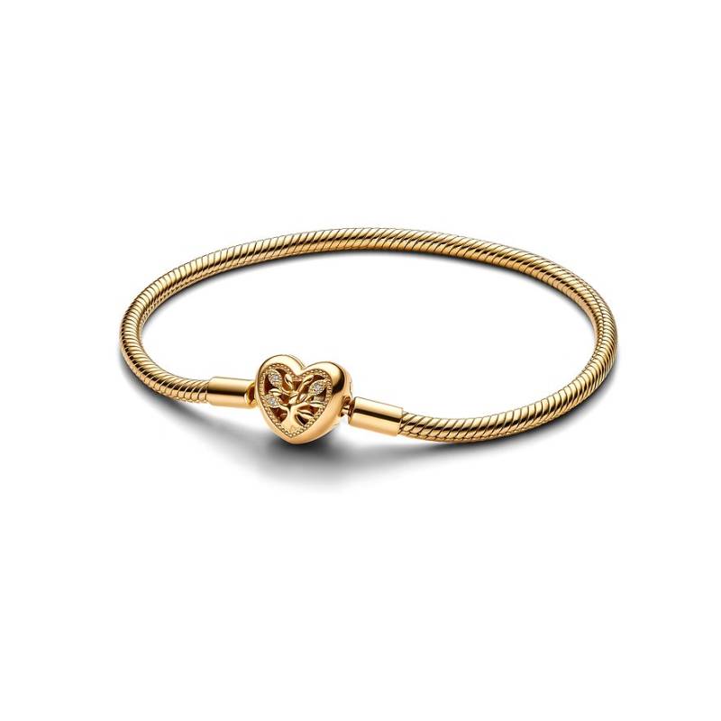 Pandora Armband Moments 563516C01-17 von Pandora