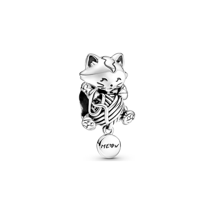 Pandora Charm Moments 799535C00 von Pandora