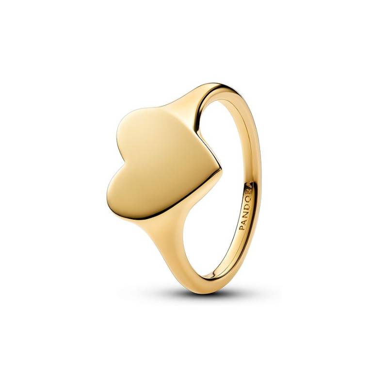 Pandora Damenring Moments 163988C00-58 von Pandora