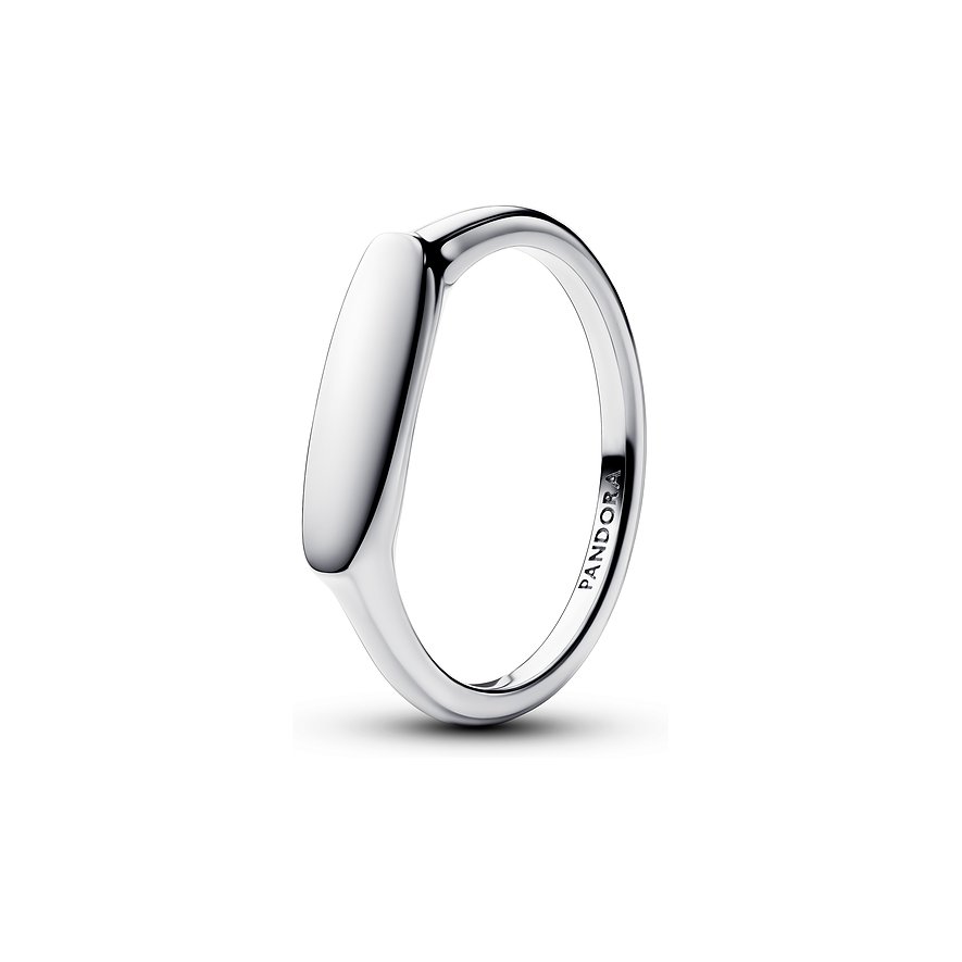 Pandora Damenring Moments 193986C00-56 von Pandora