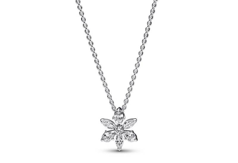 Pandora Kette mit Anhänger Damen-Silber 925 Funkelndes Herbarium Pandora Kette mit Anhänger Damen-Silber 925 Funkelndes Herbarium von Pandora