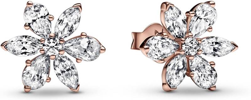 Pandora Ohrring-Set Pandora Funkelnde Herbarium Cluster Ohrringe 282407C01 Ohrringe von Pandora