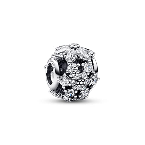 PANDORA Timeless Funkelndes Rundes Herbarium Cluster Charm aus Sterling-Silber, kompatibel mit Armbändern aus der Moments Kollektion, 792383C01 PANDORA Timeless Funkelndes Rundes Herbarium Cluster Charm aus Sterling-Silber, kompatibel mit Armbändern aus der Moments Kollektion, 792383C01 von PANDORA