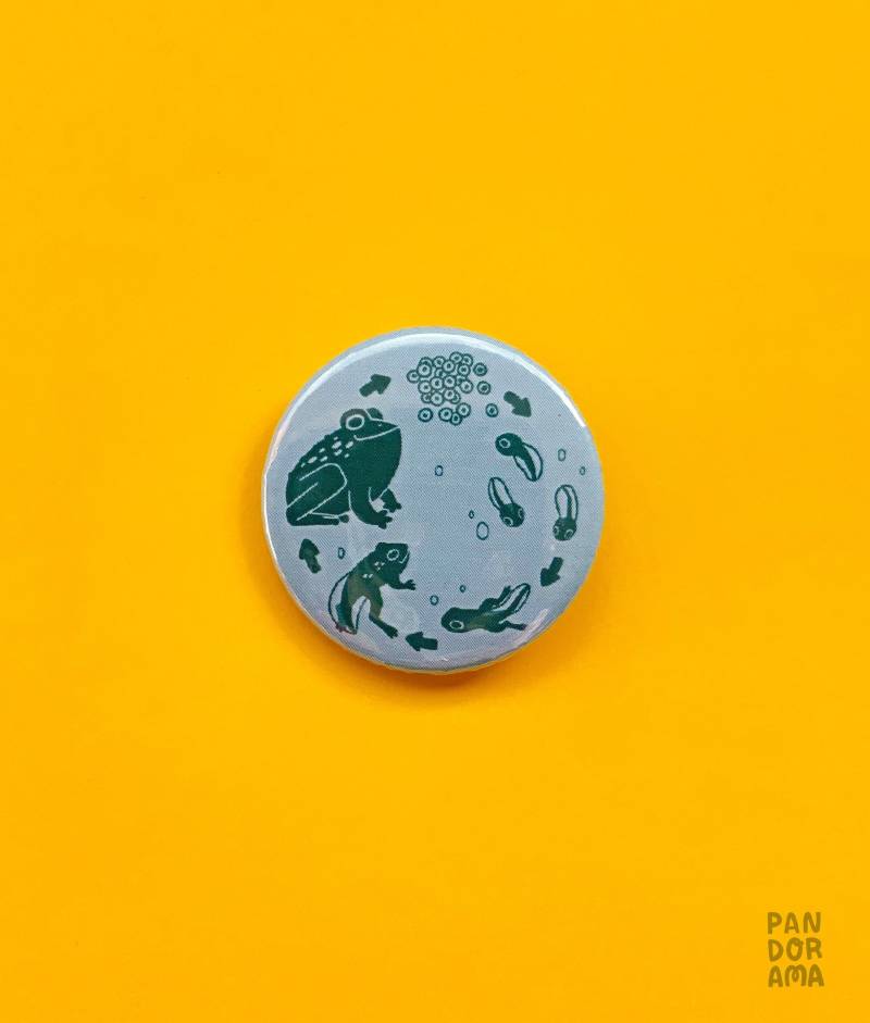 Frosch Life Cycle Button/Anstecker 38 Mm von PandoramaArt