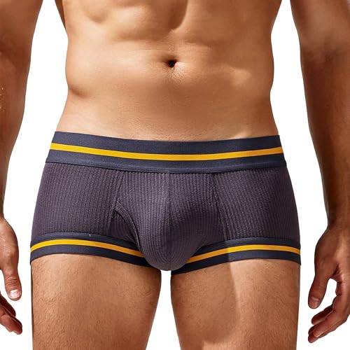 Panegy Herren Boxershorts Klassische Bequeme Atmungsaktive Trunks Super Weiche Viskose Unterwäsche Slips Stretch Mid Taille Plain Solid Shorts Slips Grau M von Panegy