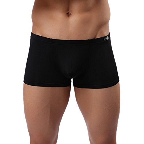 Panegy Herren Low Rise Transparent Glatt Nylon Boxershorts Boxer Briefs Unterwäsche Cool Atmungsaktiv Viskose Reizwäsche Herstellergröße M/EU S - Schwarz von Panegy