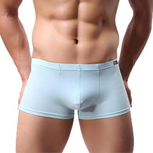 Panegy Herren Low Rise Transparent Glatt Nylon Boxershorts Boxer Briefs Unterwäsche Cool Atmungsaktiv Viskose Reizwäsche Herstellergröße XL/EU L - Hellblau von Panegy