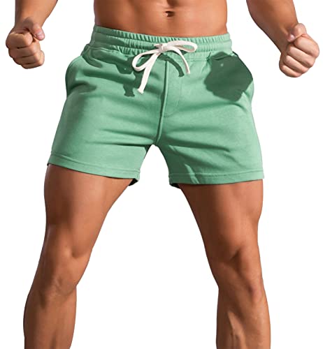 Panegy Herren Sweatshorts Kurze Jogginghose Baumwolle Relaxshorts Atmungsaktive Sport Shorts für Joggen Yoga Training Grün 4XL von Panegy