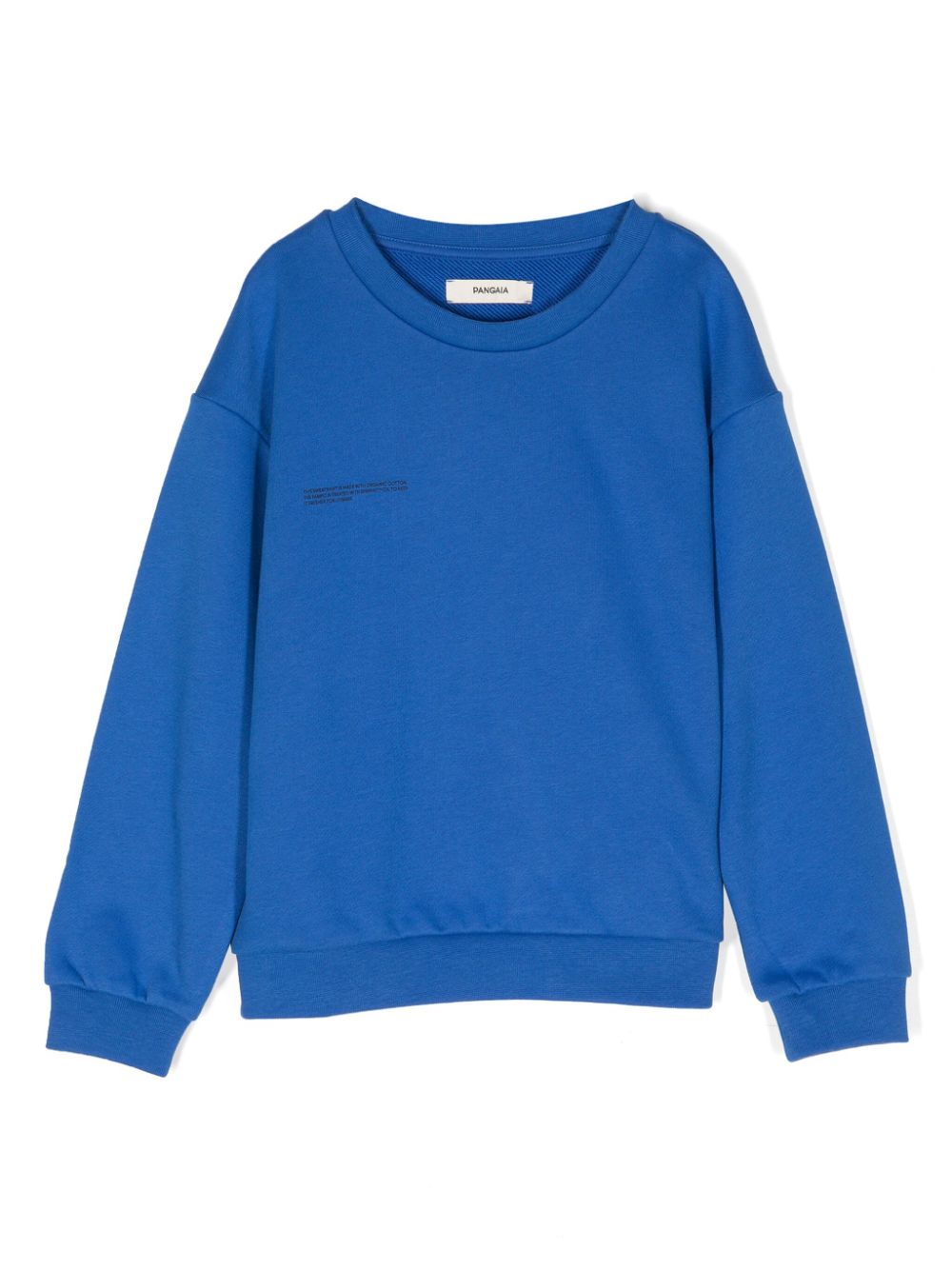 Pangaia Kids Sweatshirt mit Text-Print - Blau von Pangaia Kids