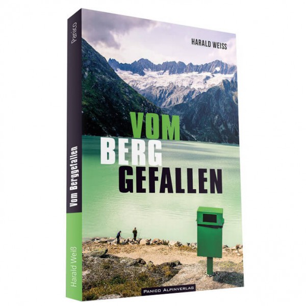 Panico - Vom Berg Gefallen - Alpinliteratur 1. Auflage 2017 von Panico