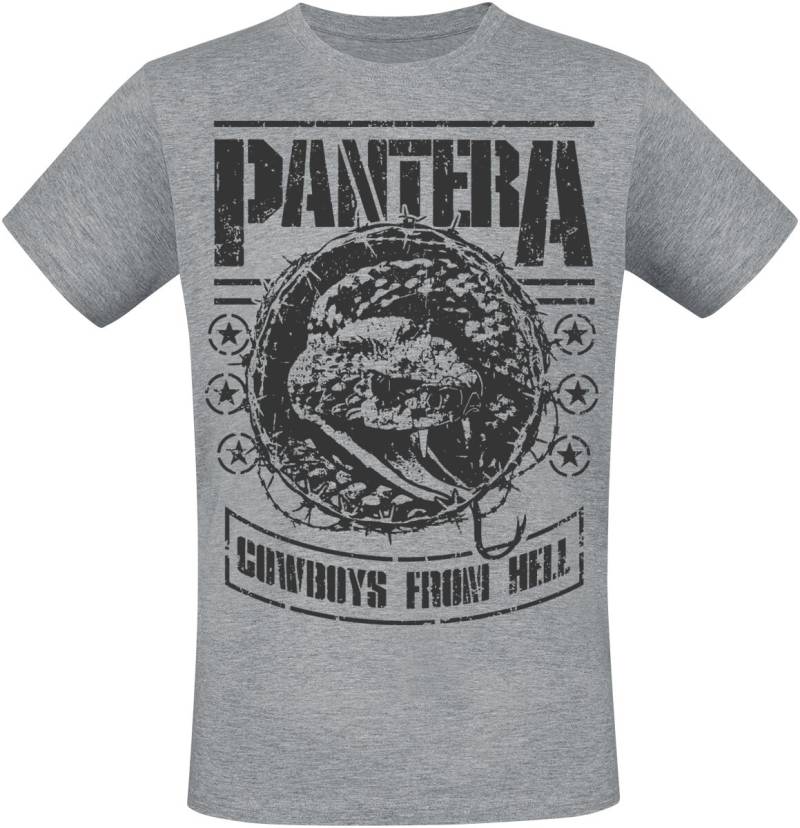 Pantera CFH Stencil Snake T-Shirt grau meliert in 3XL von Pantera