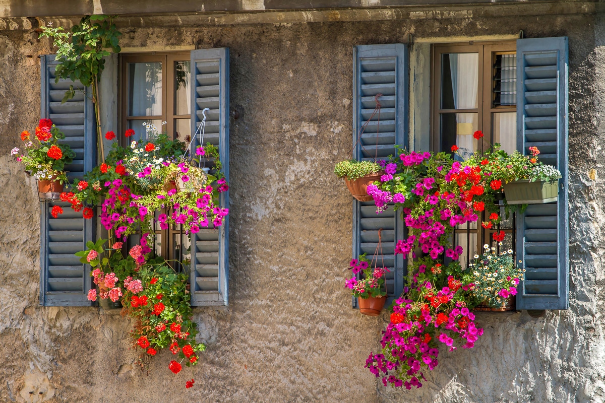 Papermoon Fototapete "Alte Fenster" von Papermoon