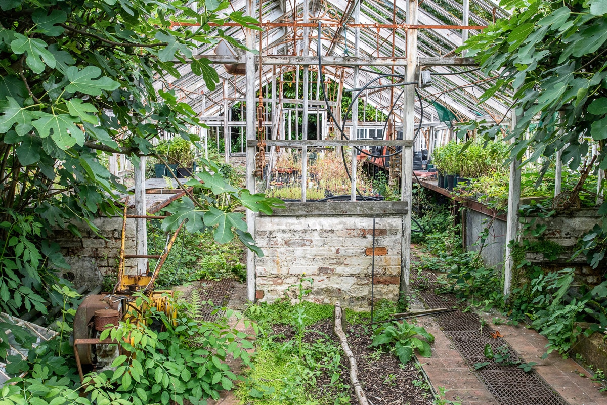 Papermoon Fototapete "Alter Wintergarten" von Papermoon