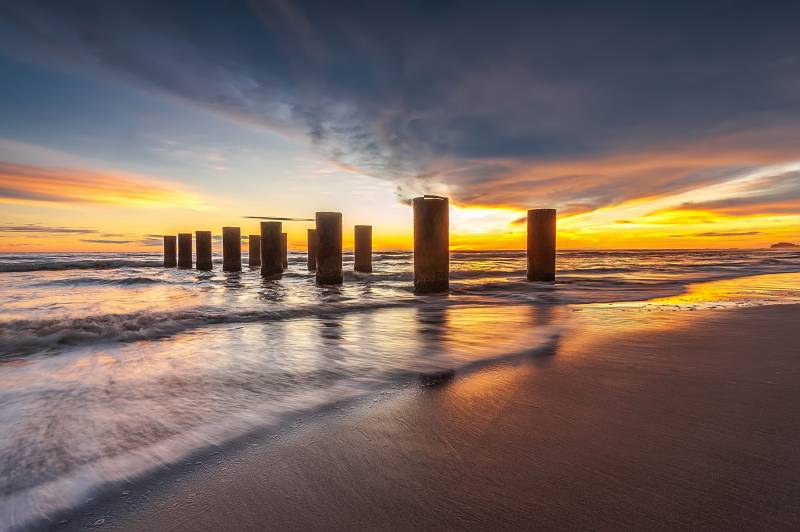 Papermoon Fototapete "Amazing Tree on the Rock" glatt von Papermoon