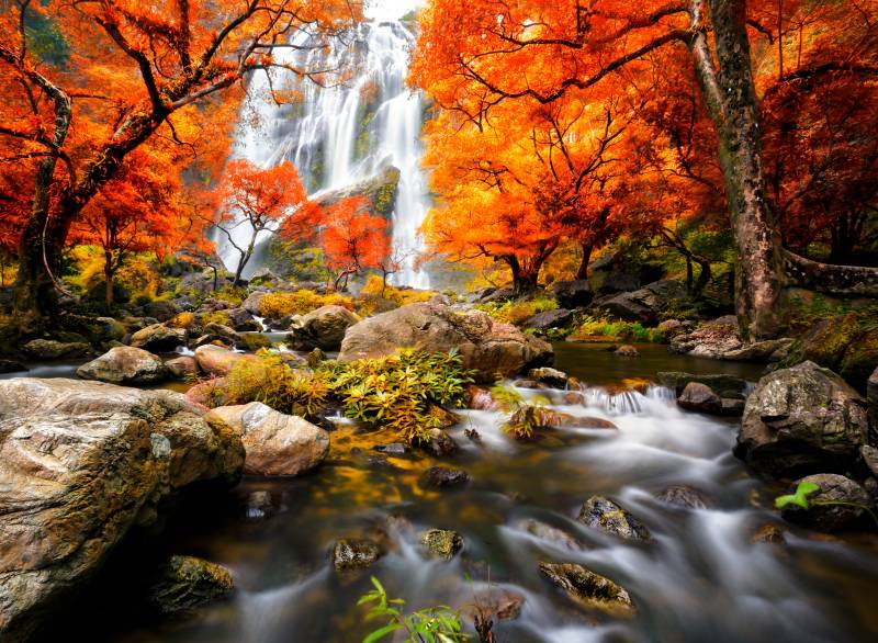 Papermoon Fototapete "Autumn Waterfall" glatt von Papermoon