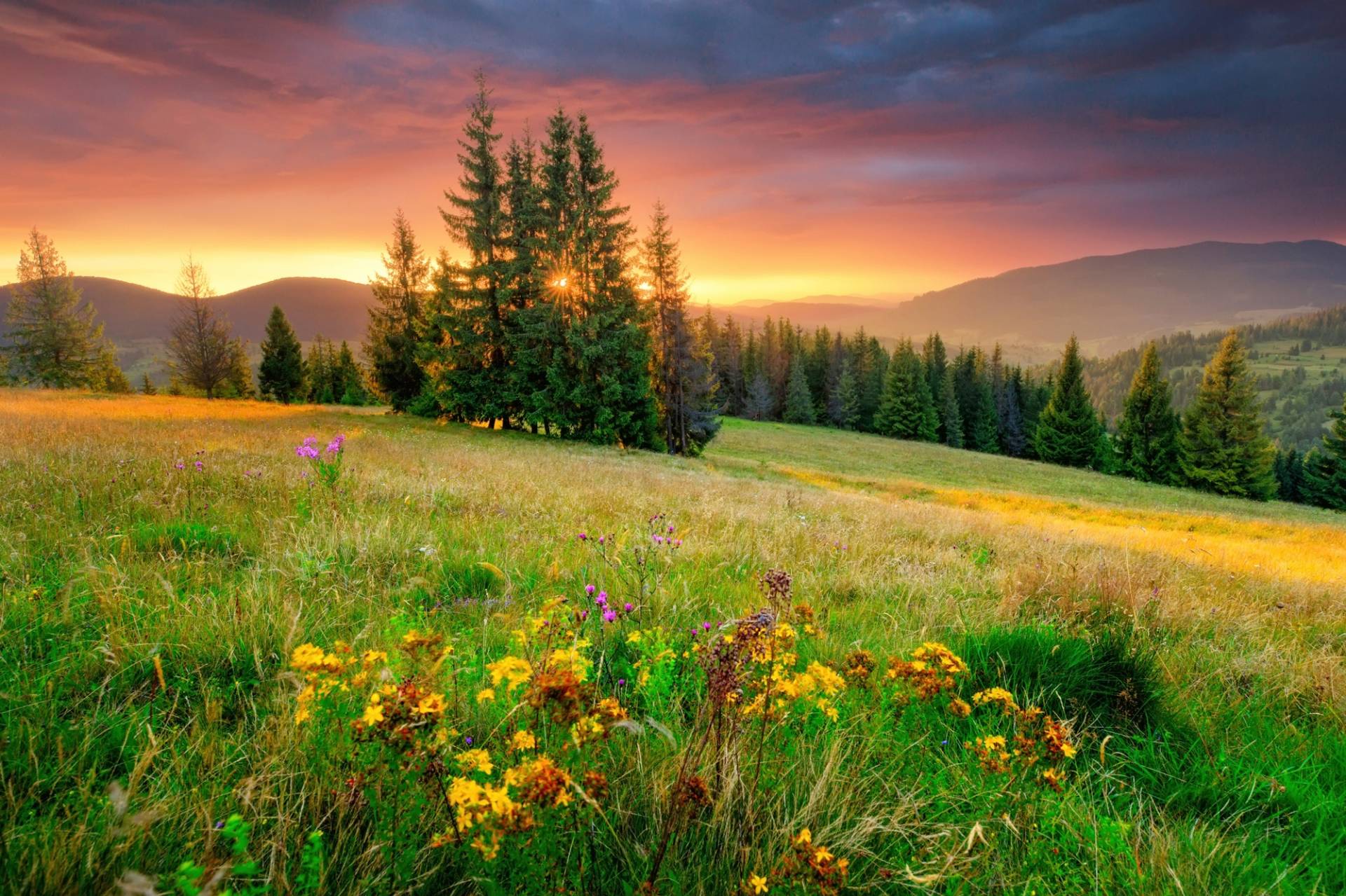 Papermoon Fototapete "BLUMEN-WIESE-GEBIRGE NATUR NEBEL GRÜN SONNE BERG HIMMEL" von Papermoon