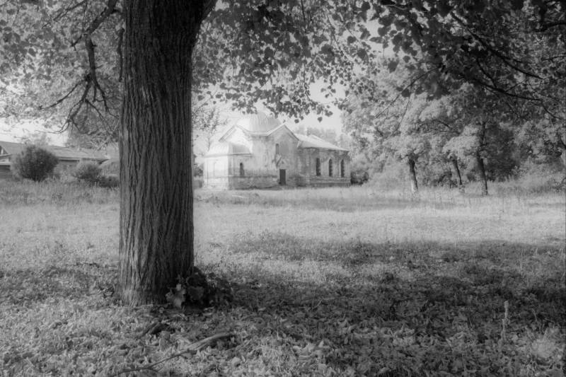 Papermoon Fototapete "Baum Schwarz & Weiß" von Papermoon