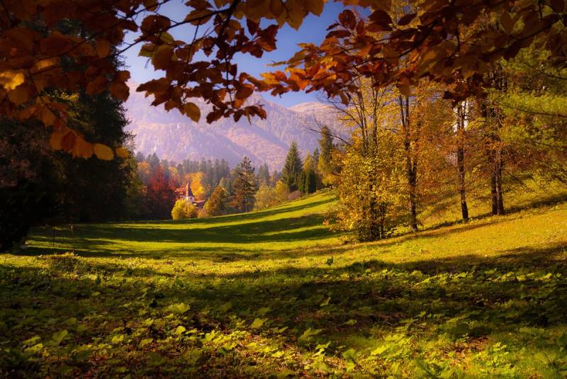 Papermoon Fototapete "Boot im See" von Papermoon