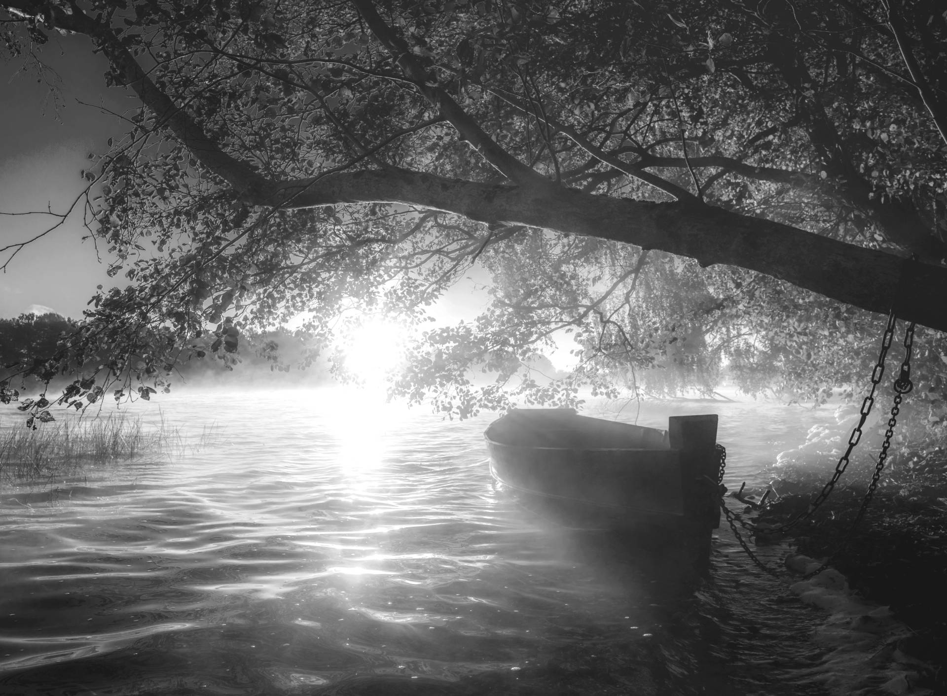 Papermoon Fototapete "Boot im Wasser Schwarz & Weiß" von Papermoon