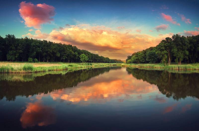 Papermoon Fototapete "Brücke im Garten" von Papermoon