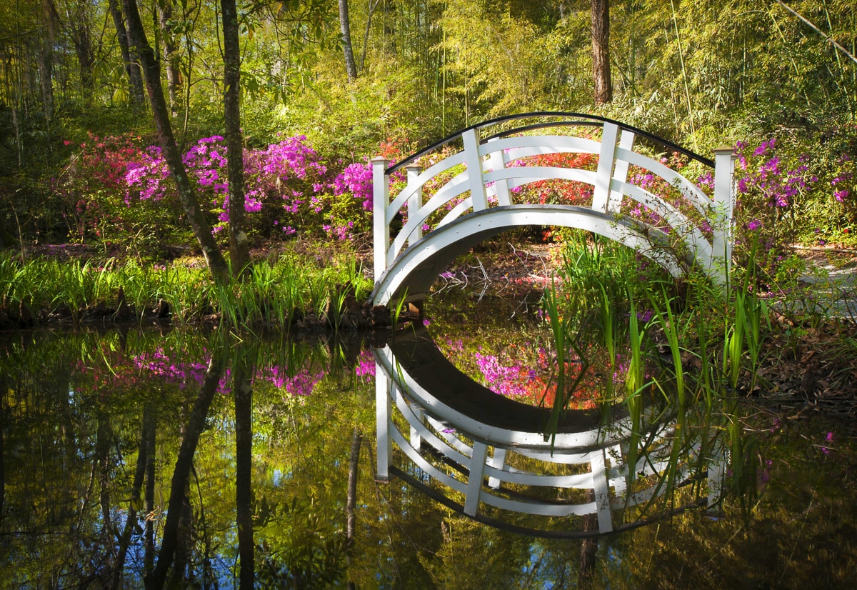 Papermoon Fototapete "Brücke im Park" von Papermoon