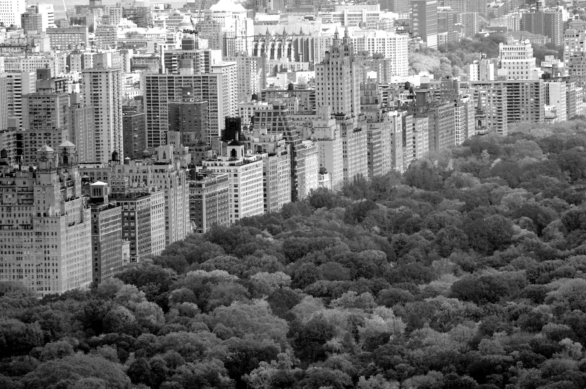 Papermoon Fototapete "Central Park Schwarz & Weiß" von Papermoon