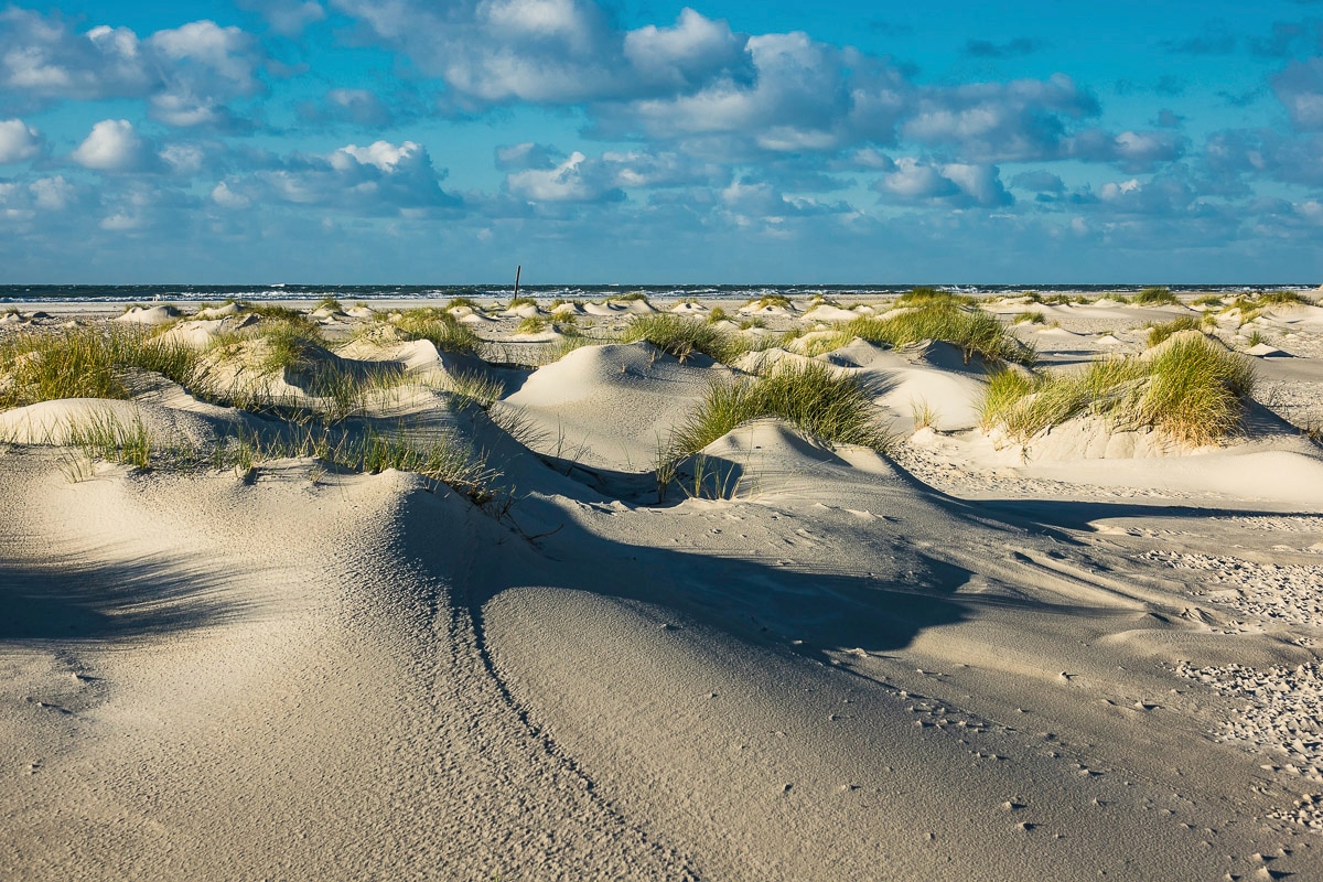 Papermoon Fototapete "DÜNEN-NATUR NORD SEE SAND STRAND MEER WÜSTE LANDSCHAFT" von Papermoon