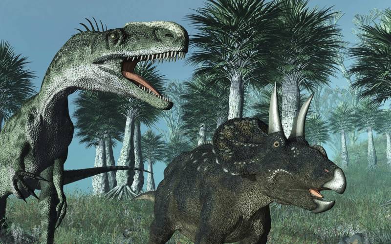 Papermoon Fototapete "Dinosaurier" von Papermoon