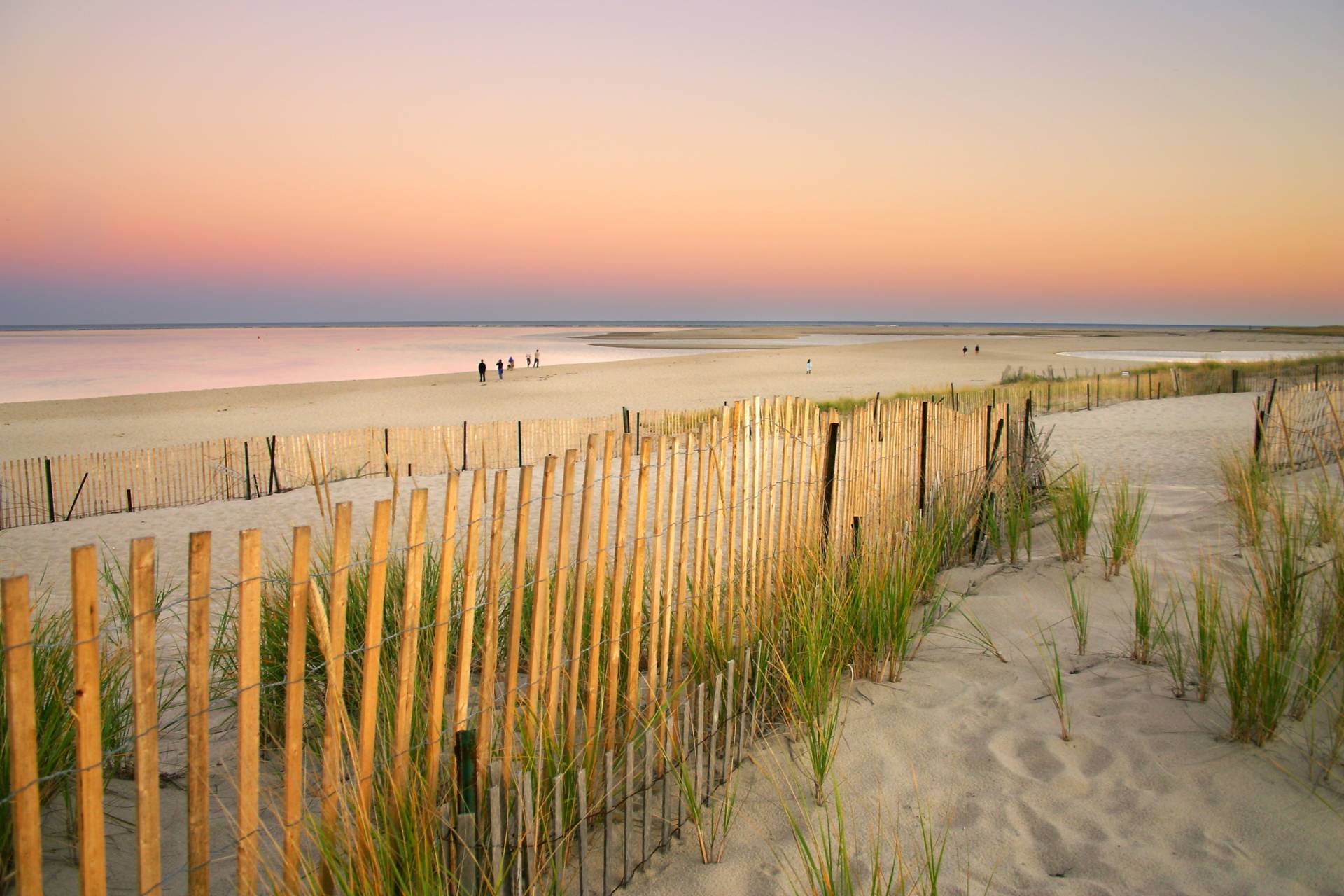 Papermoon Fototapete "Dunes Cape Cod" von Papermoon