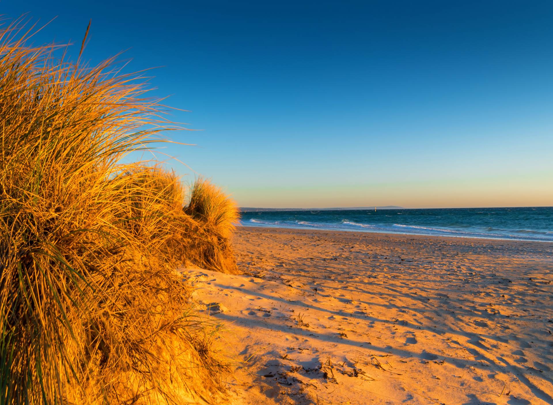 Papermoon Fototapete "Dunes Chelsea Beach Australia" von Papermoon