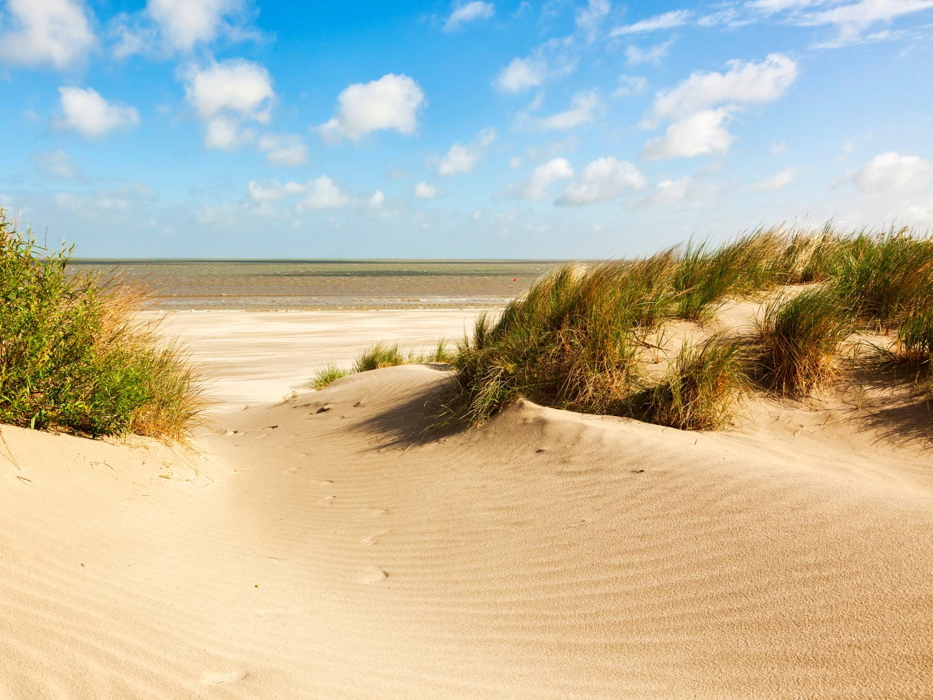 Papermoon Fototapete "Dunes Knokke-Heist" von Papermoon