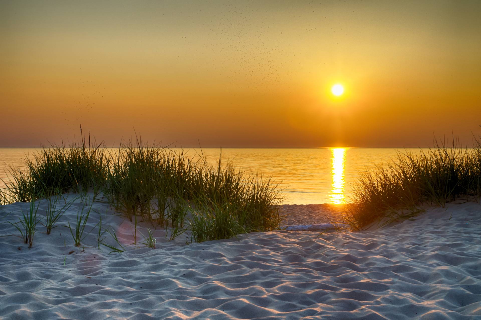 Papermoon Fototapete "Dunes Lake Michigan" von Papermoon